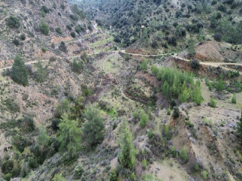 Field-Kalo Chorio-PR42096