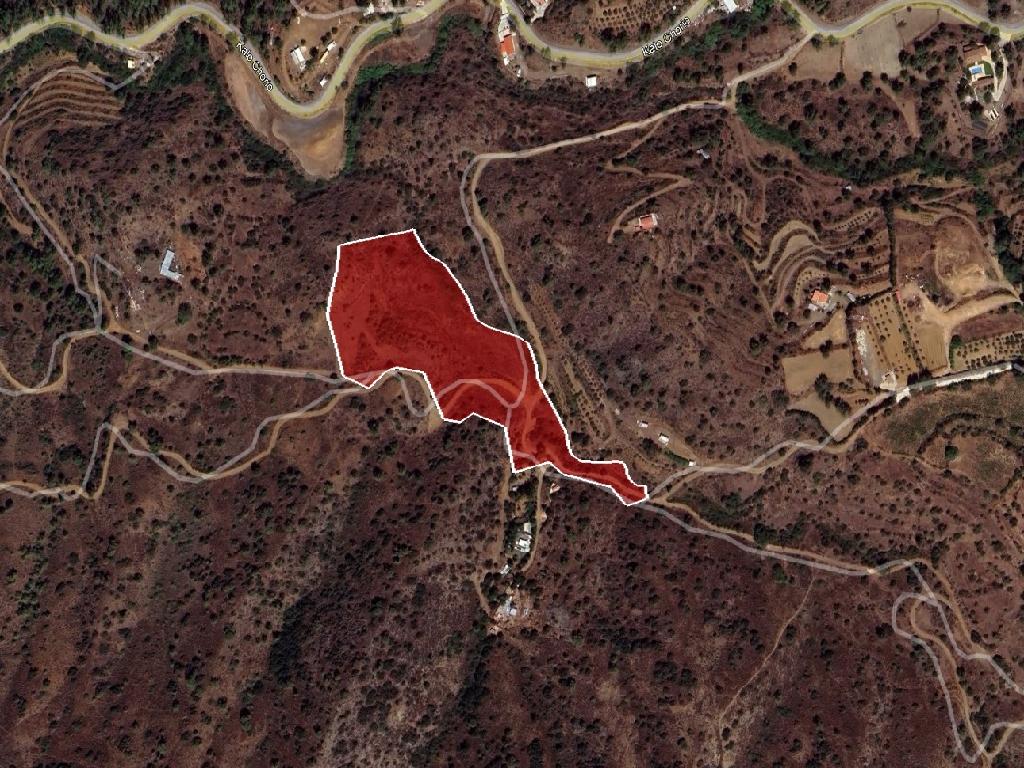 Field-Kalo Chorio-PR42096