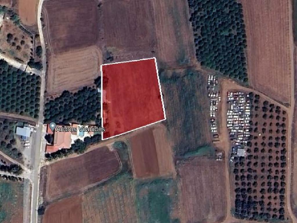 Field - Peristerona, Nicosia