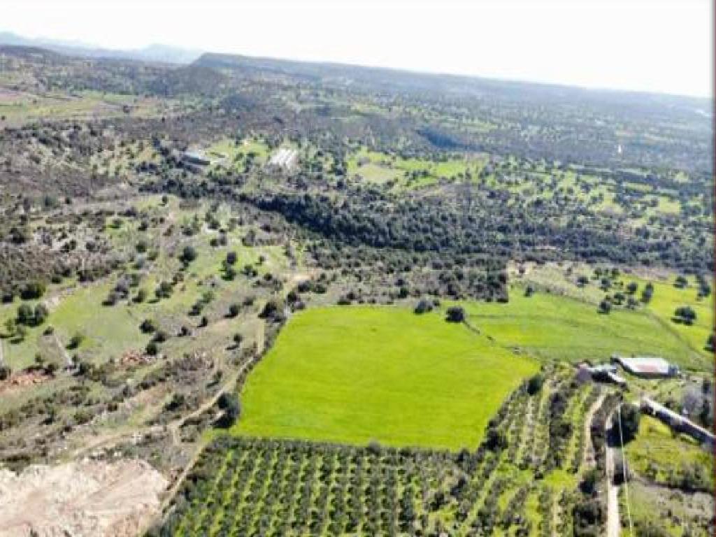 Field-Anogira-PR43077