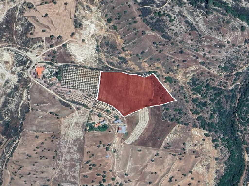 Field-Anogira-PR43077