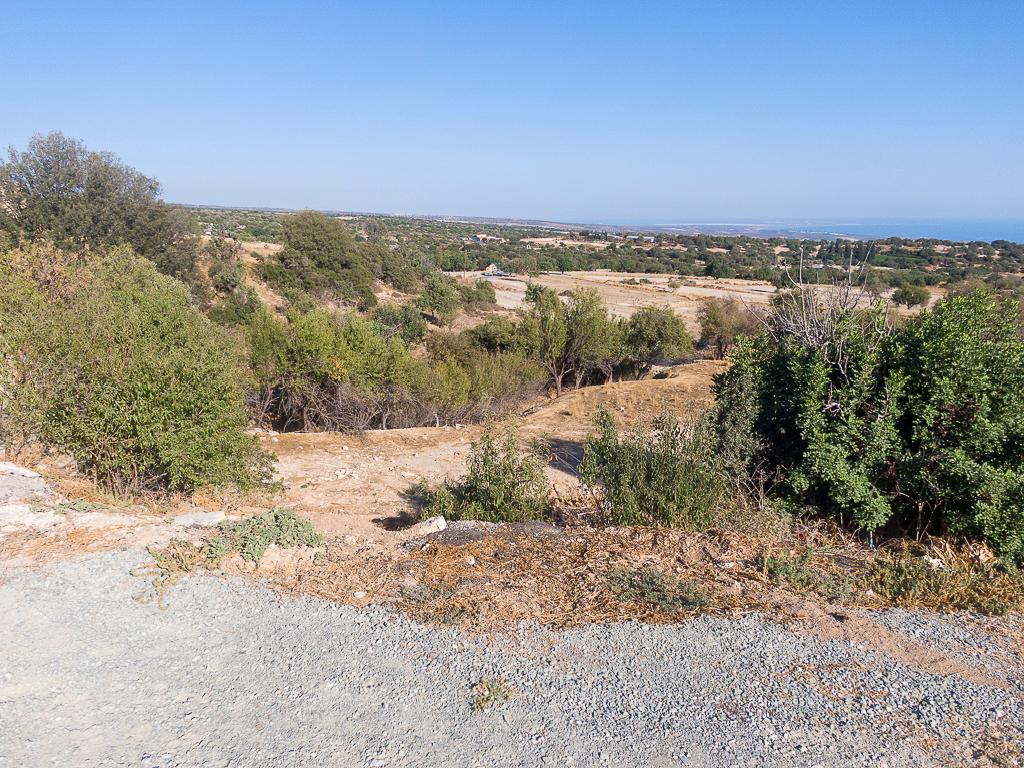Field - Anogira, Limassol