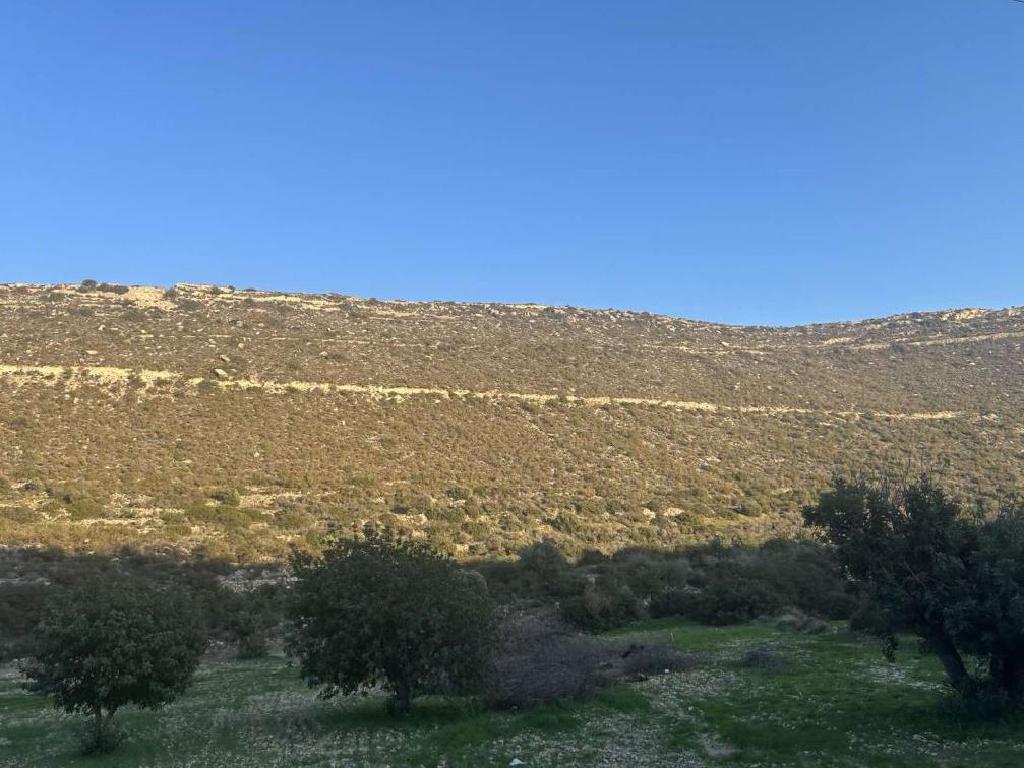 Field-Fasoula-PR43655