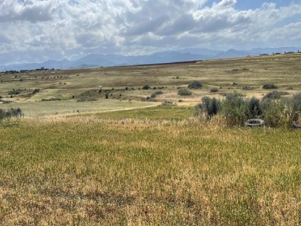 Field &ndash; Peristerona, Nicosia