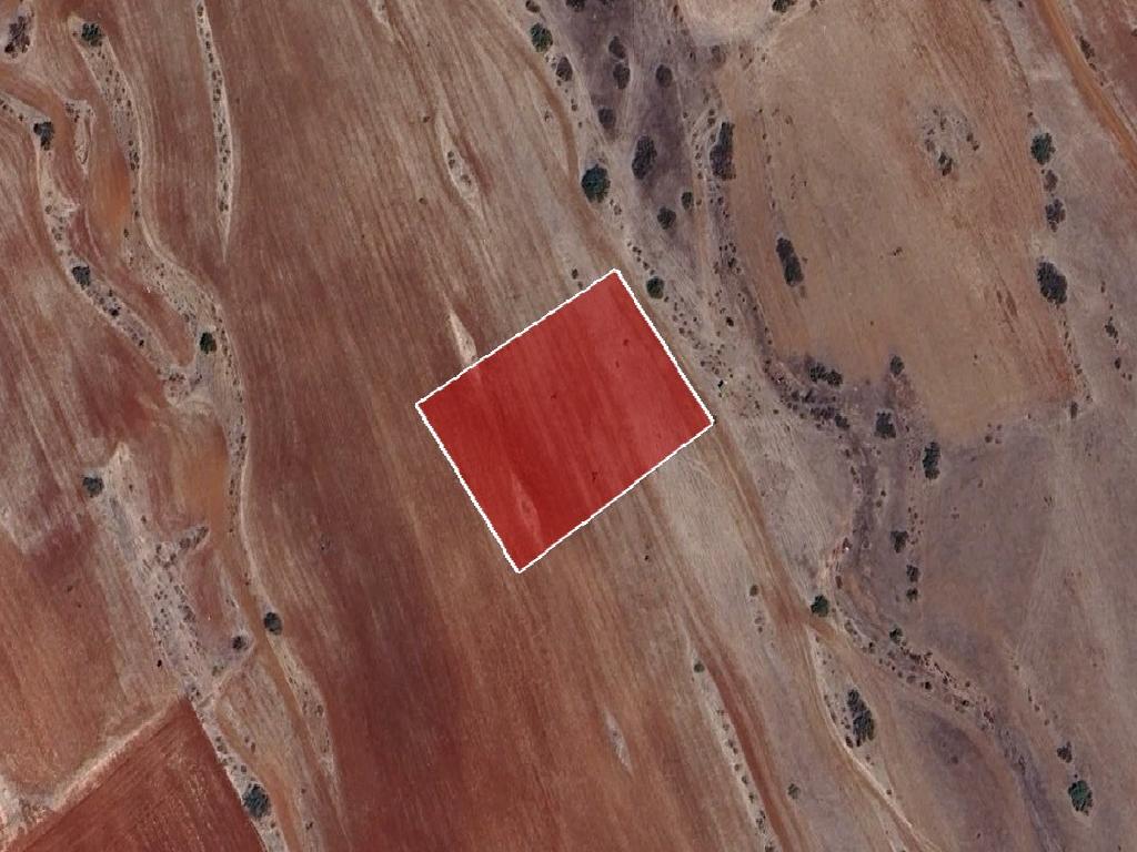 Field &ndash; Peristerona, Nicosia