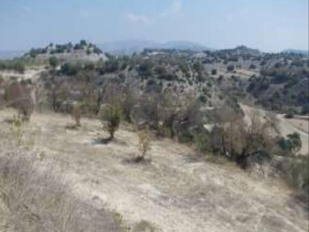 Field-Eledio-PR13495