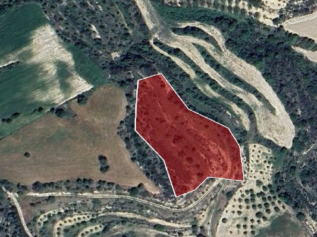 Field-Eledio-PR13495