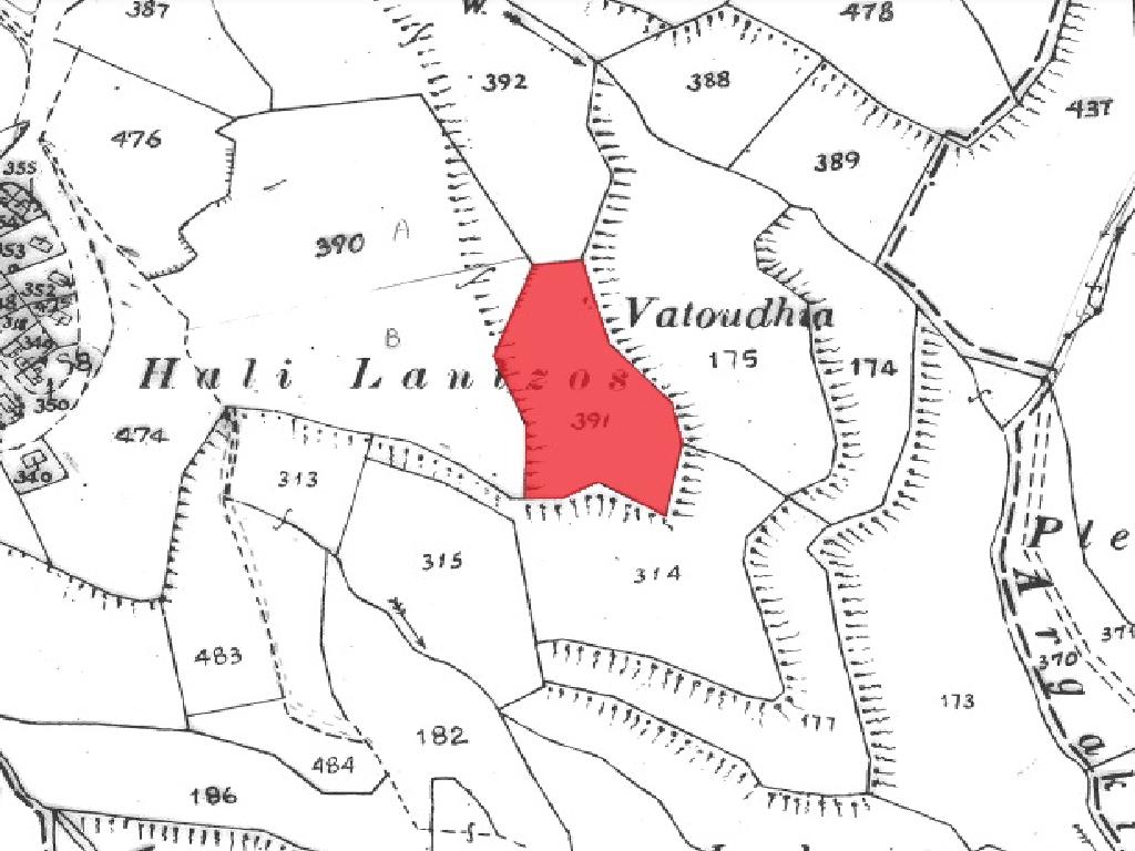 Field-Eledio-PR13495