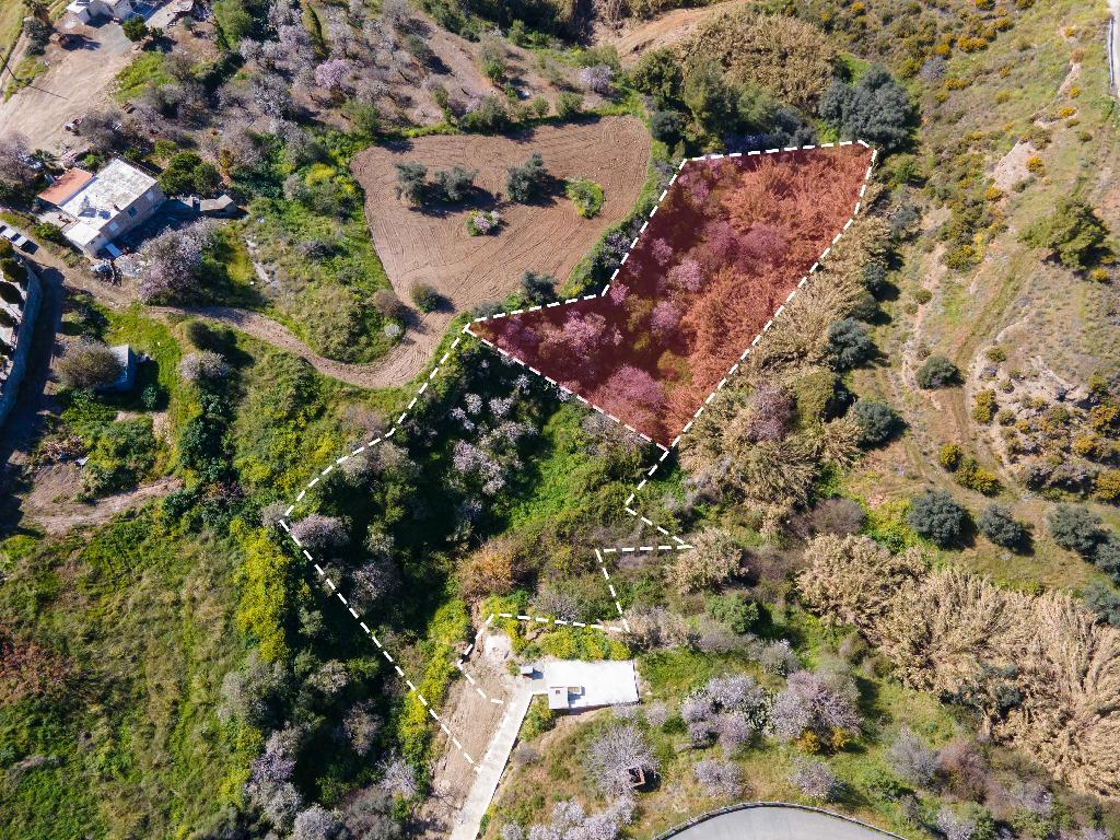 &Chi;&omega;&rho;ά&phi;&iota; (&Mu;&epsilon;&rho;ί&delta;&iota;&omicron;) - &Alpha;&rho;&gamma;ά&kappa;&alpha;, &Pi;ά&phi;&omicron;&sigmaf;