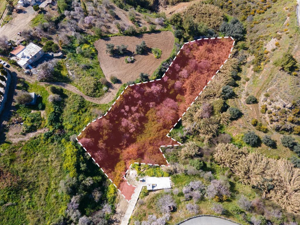 Field-Argaka-PR11755
