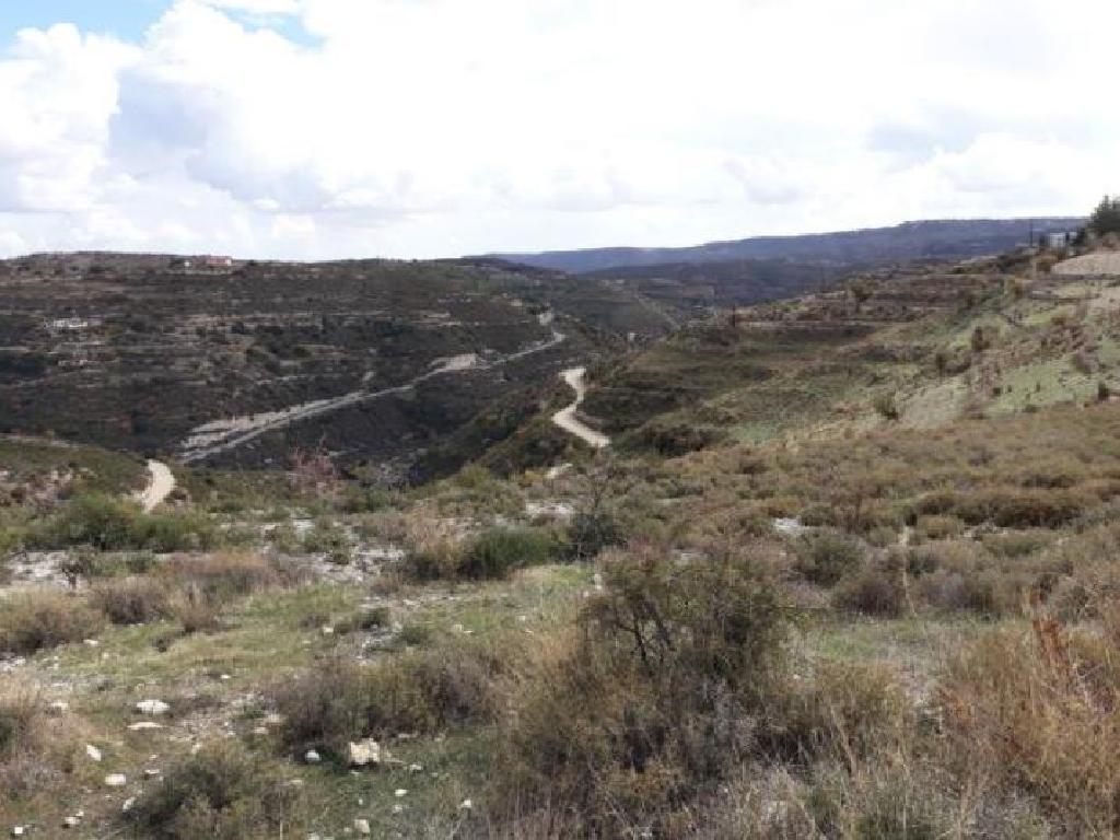 Field-Koilani-PR15332