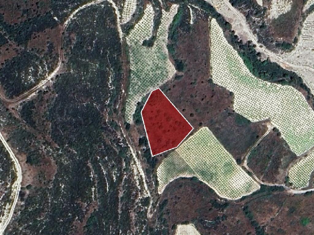 Field-Koilani-PR15332