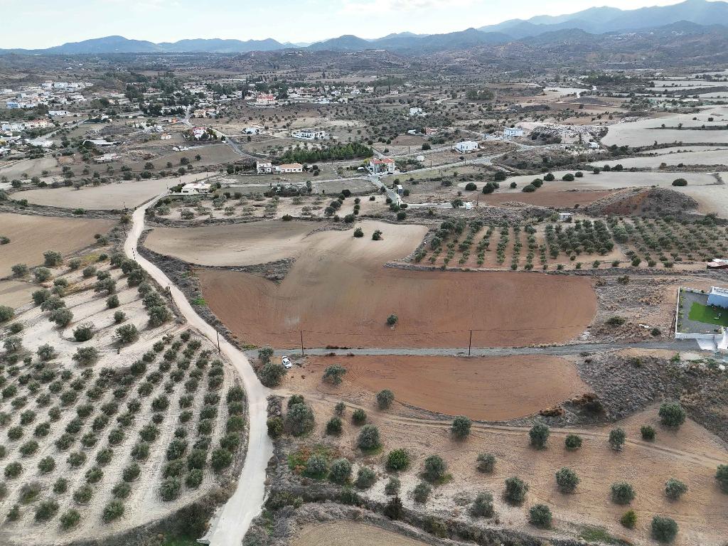 Field - Analiontas, Nicosia