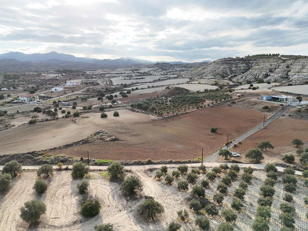 Field - Analiontas, Nicosia