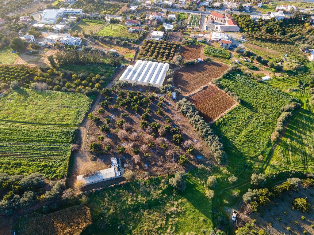 Field (Share) - Agia Marina Chrysohous, Paphos