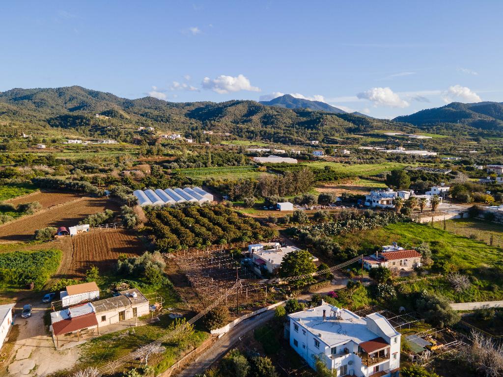 Field (Share) - Agia Marina Chrysohous, Paphos