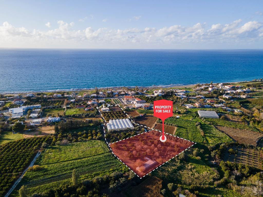 Field (Share) - Agia Marina Chrysohous, Paphos