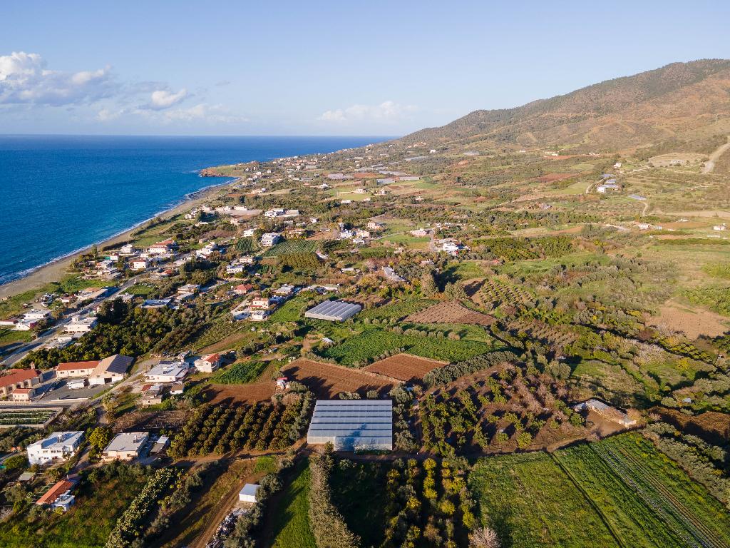 Field (Share) - Agia Marina Chrysohous, Paphos