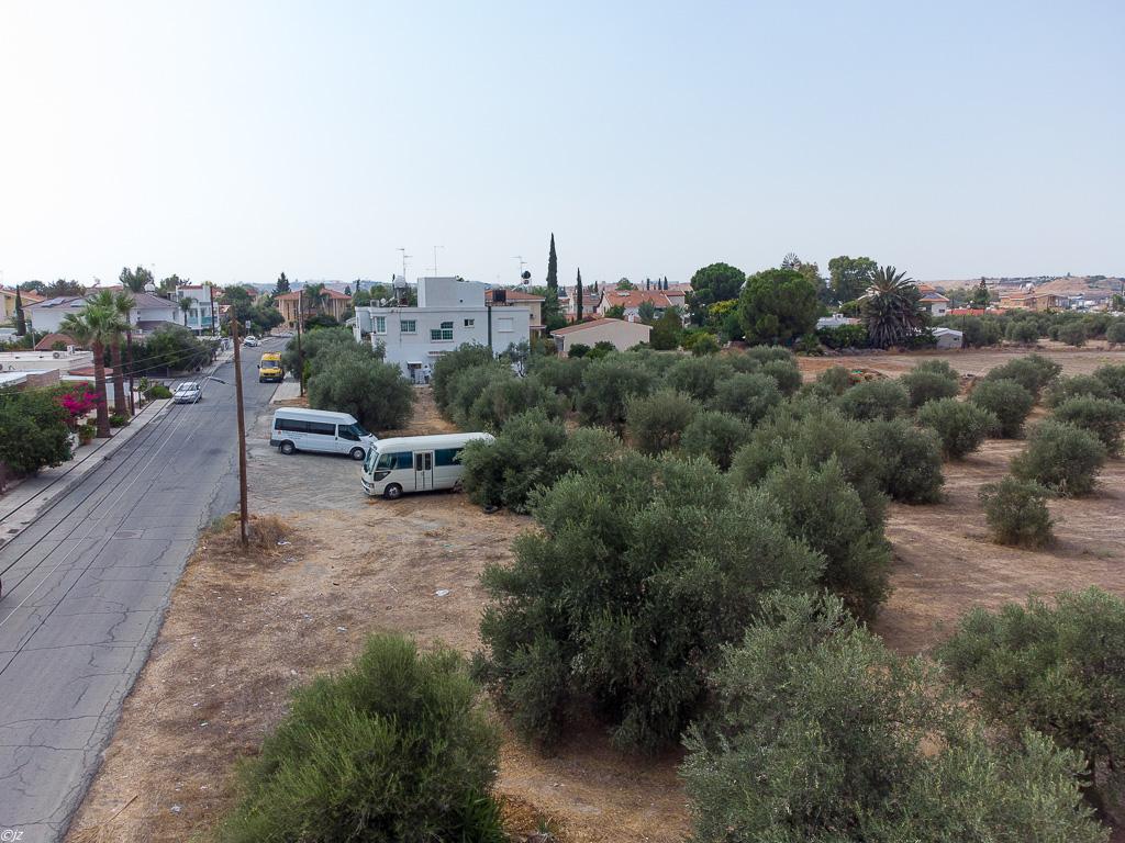 Field-Dali-PR36381