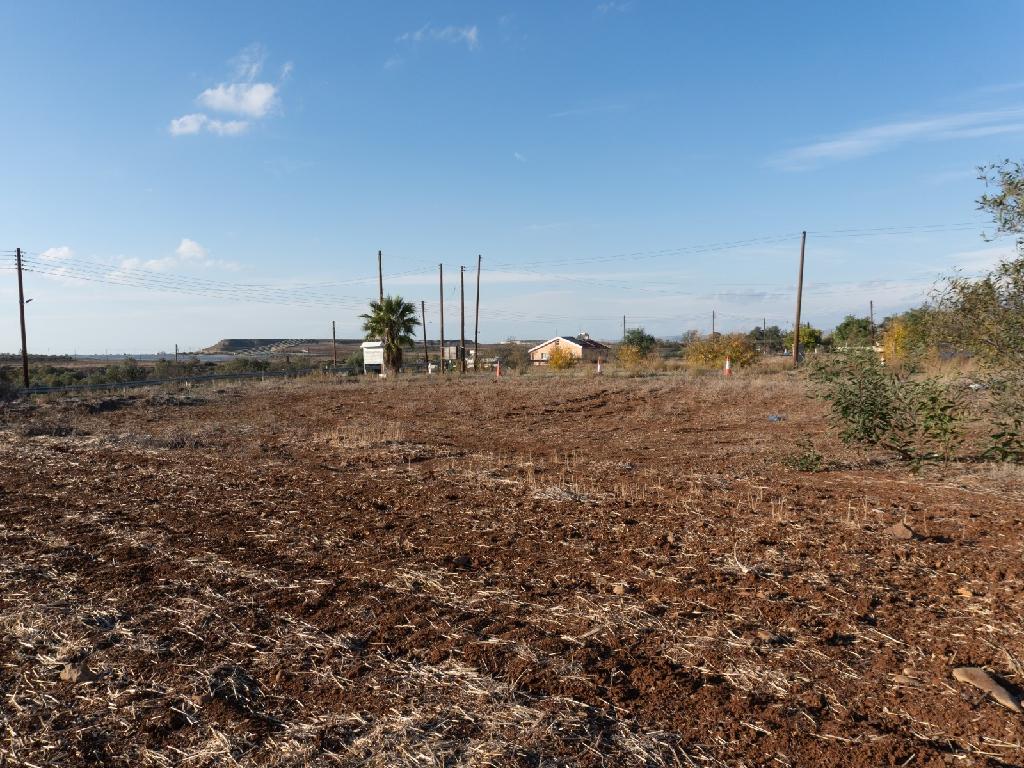 Field-Agios Ioannis-PR36607