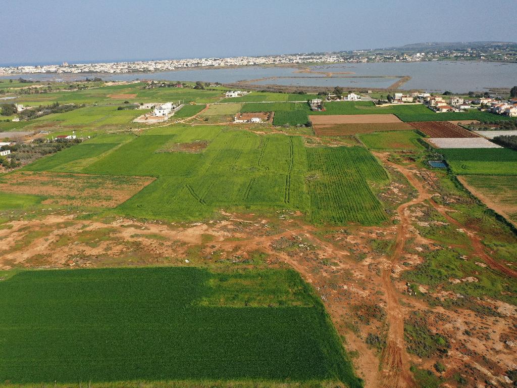 Field-Sotira-PR34884