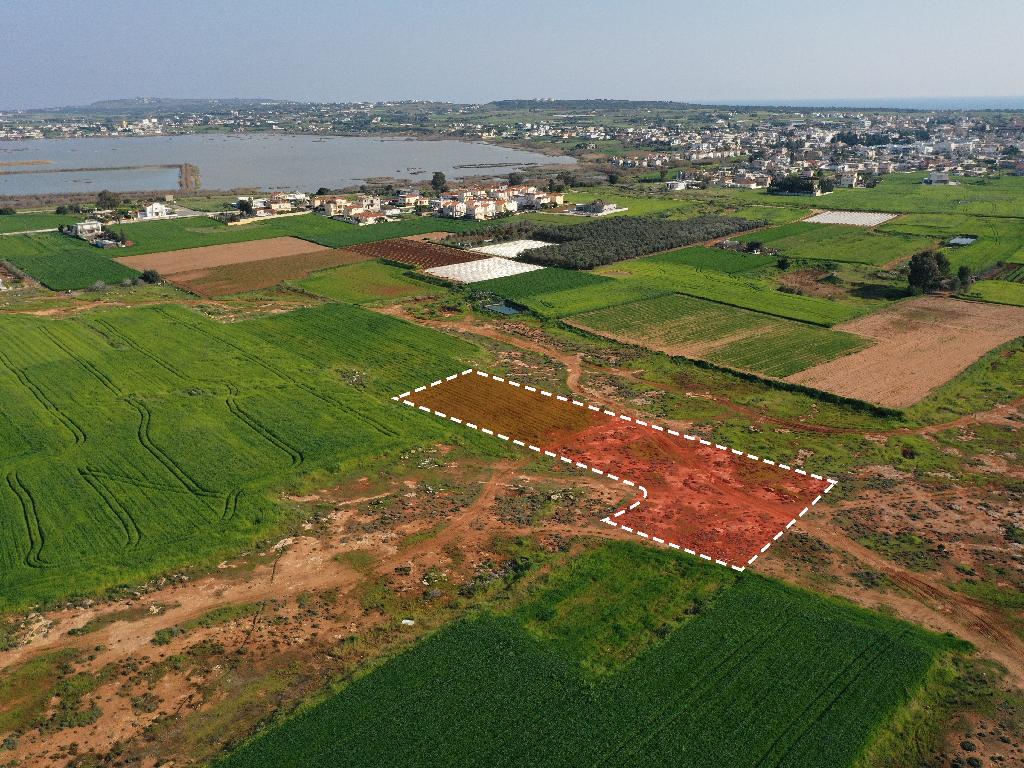 Field-Sotira-PR34884