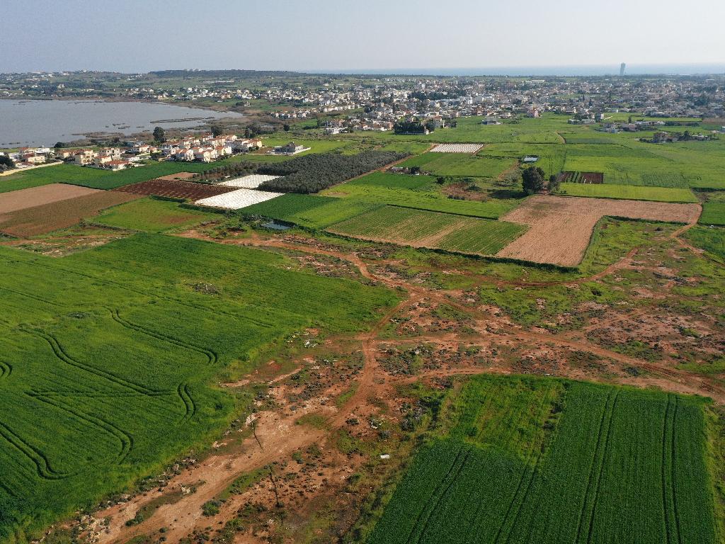 Field-Sotira-PR34884