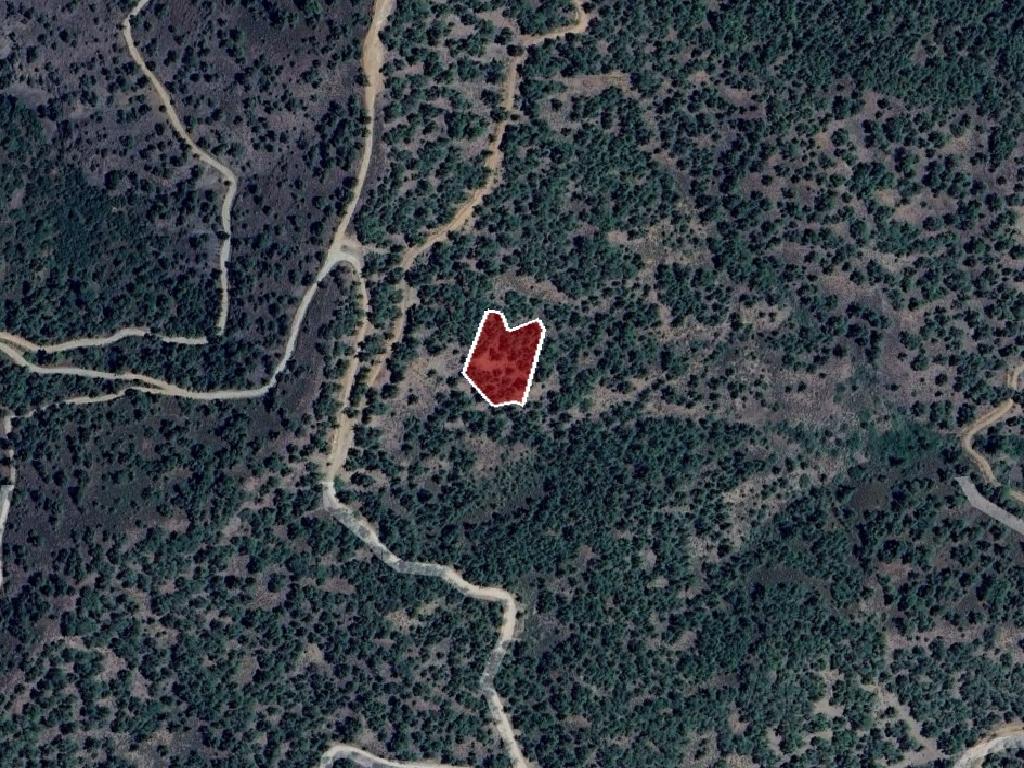 Field-Platanistasa-PR38855