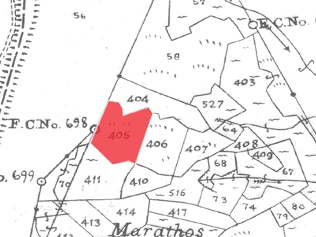 Field-Platanistasa-PR38855