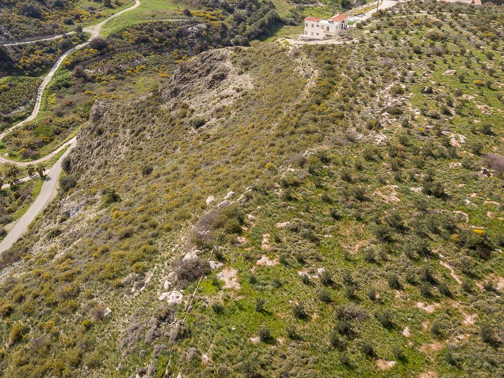 Field-Pegeia-PR39827