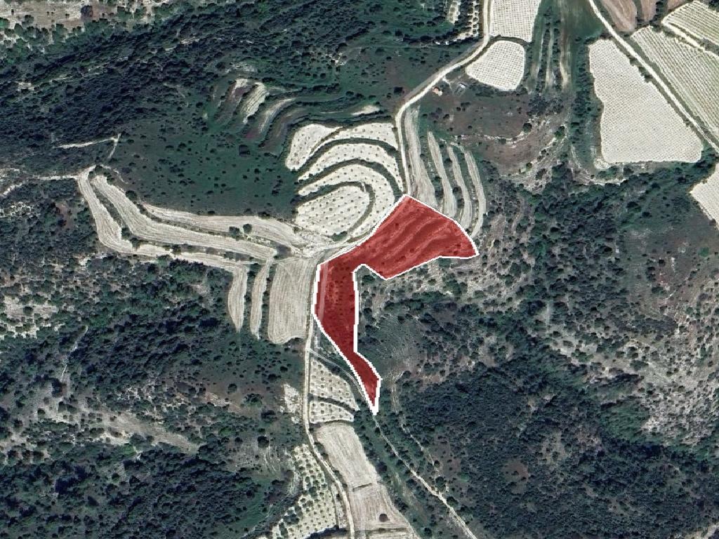 Field-Letymvou-PR40313