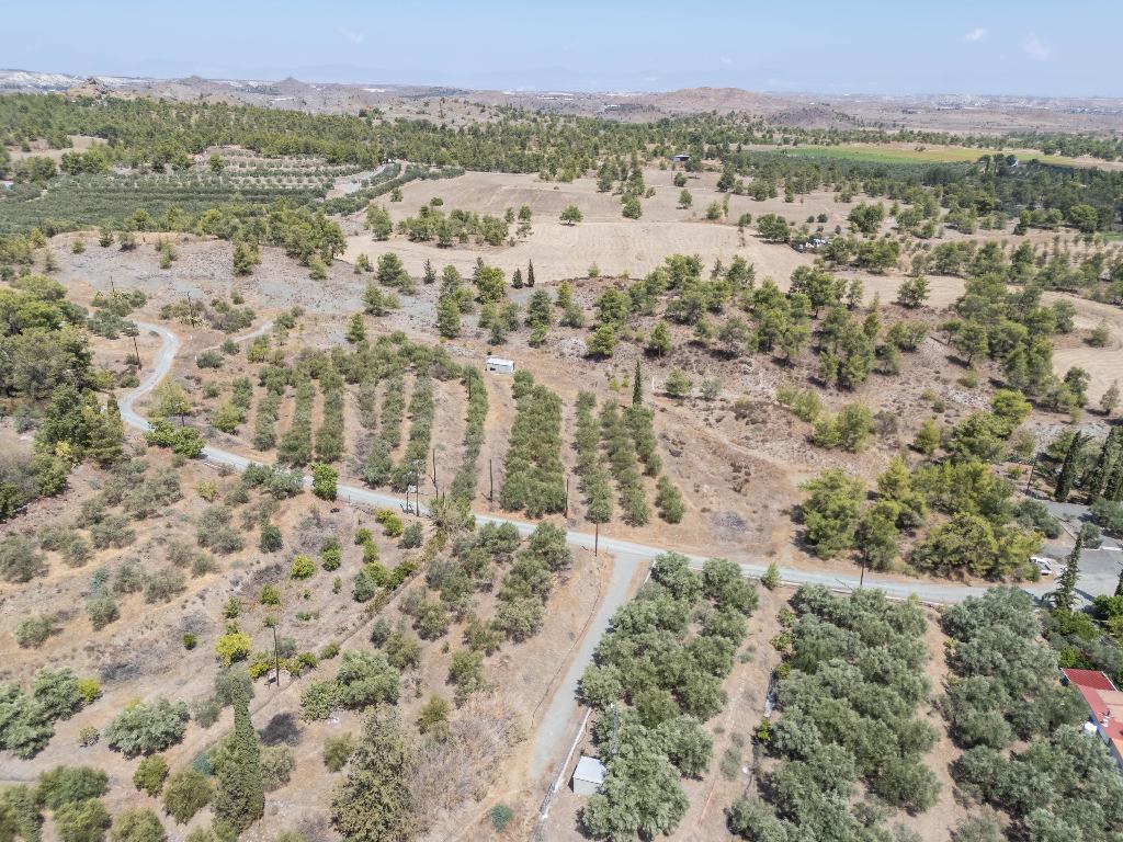 Field - Lithrodontas, Nicosia