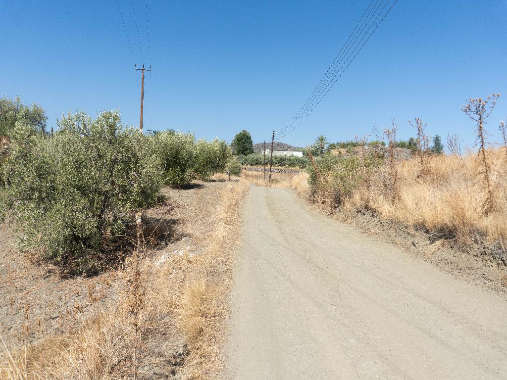 Field - Lithrodontas, Nicosia