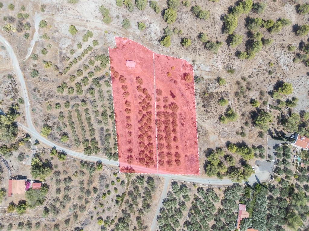 Field - Lithrodontas, Nicosia
