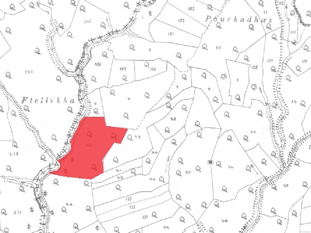 Field-Dora-PR41487