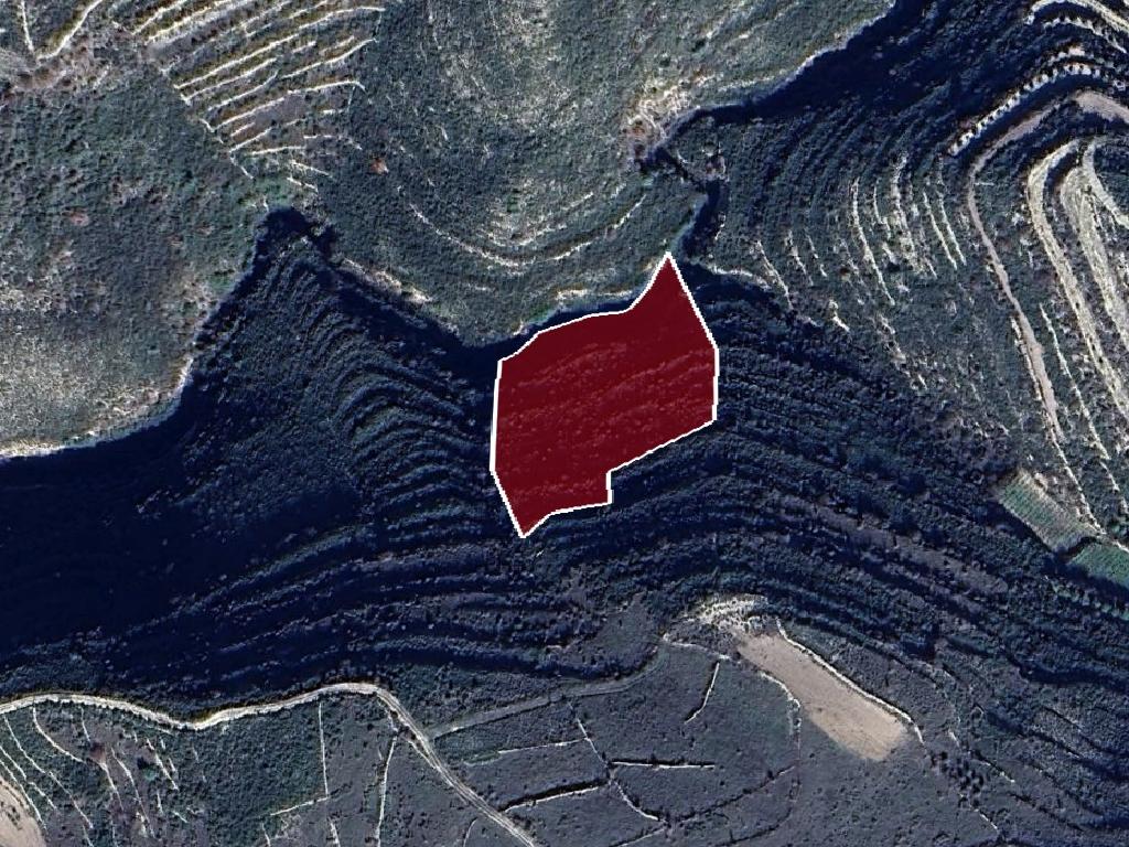 Field-Vouni-PR41256