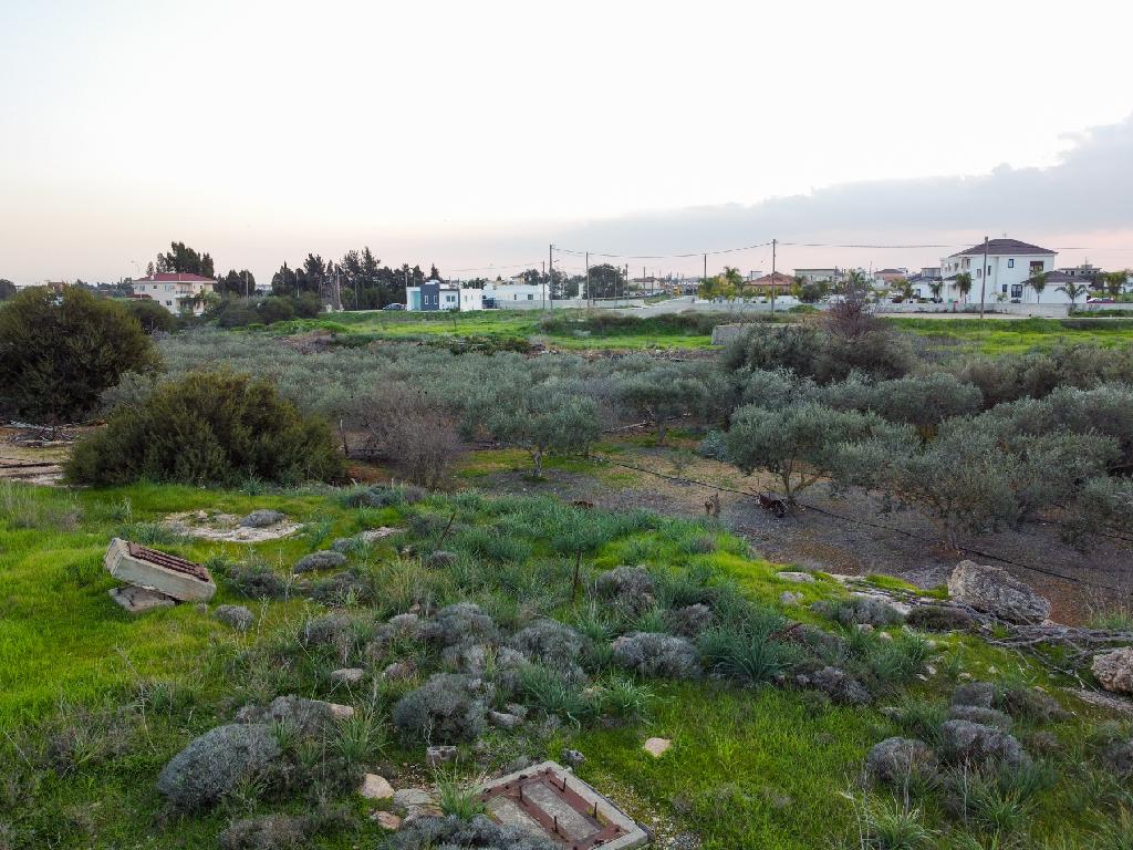 Field-Xylofagou-PR41786