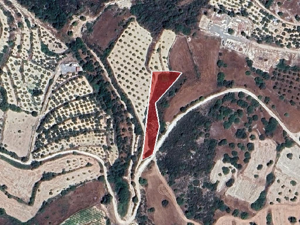Field-Agios Therapon-PR41995