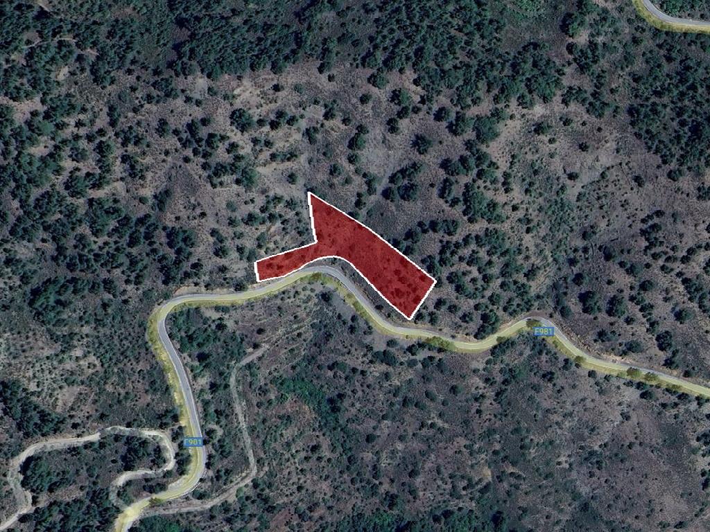 Field-Platanistasa-PR42407