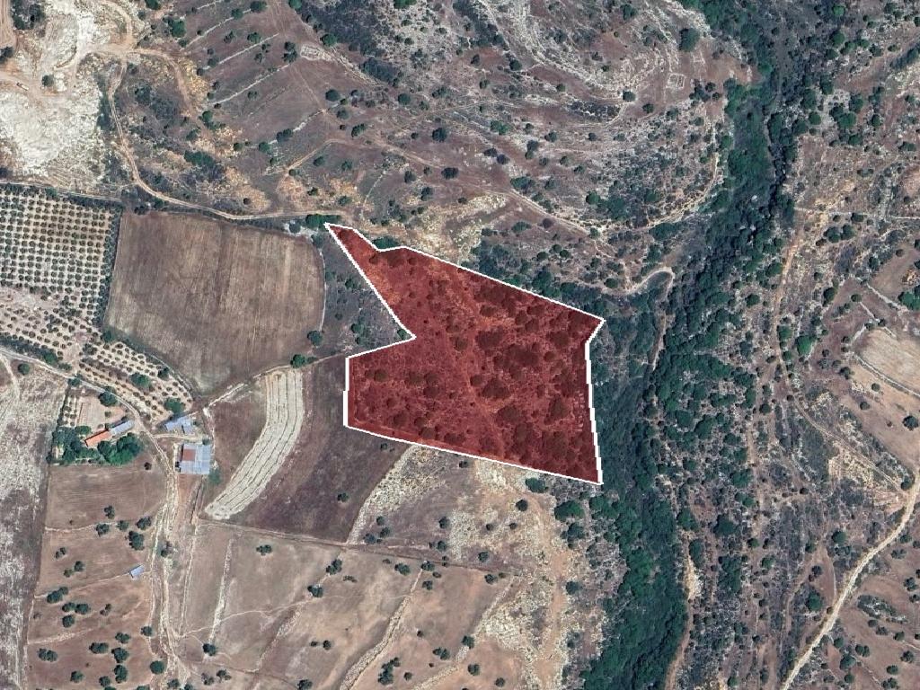 Field-Anogira-PR43076