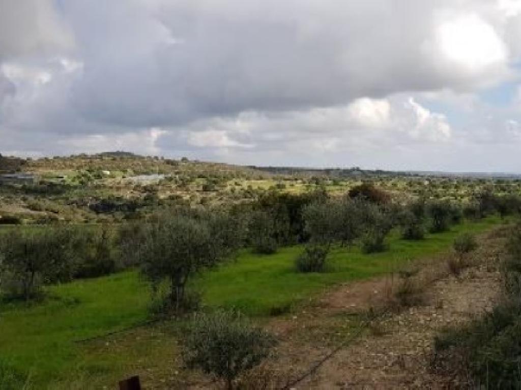 Field-Anogira-PR43076