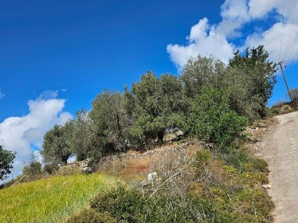 Field - Thrinia, Paphos