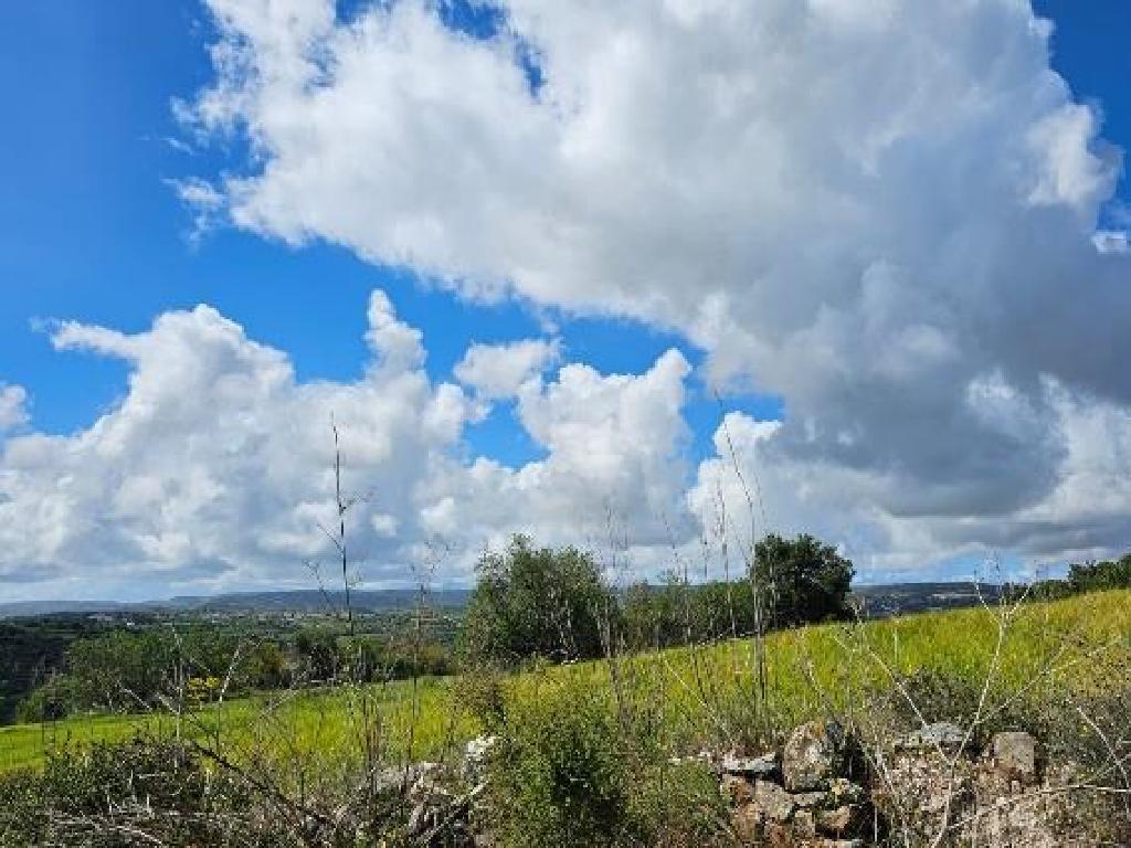 Field - Thrinia, Paphos