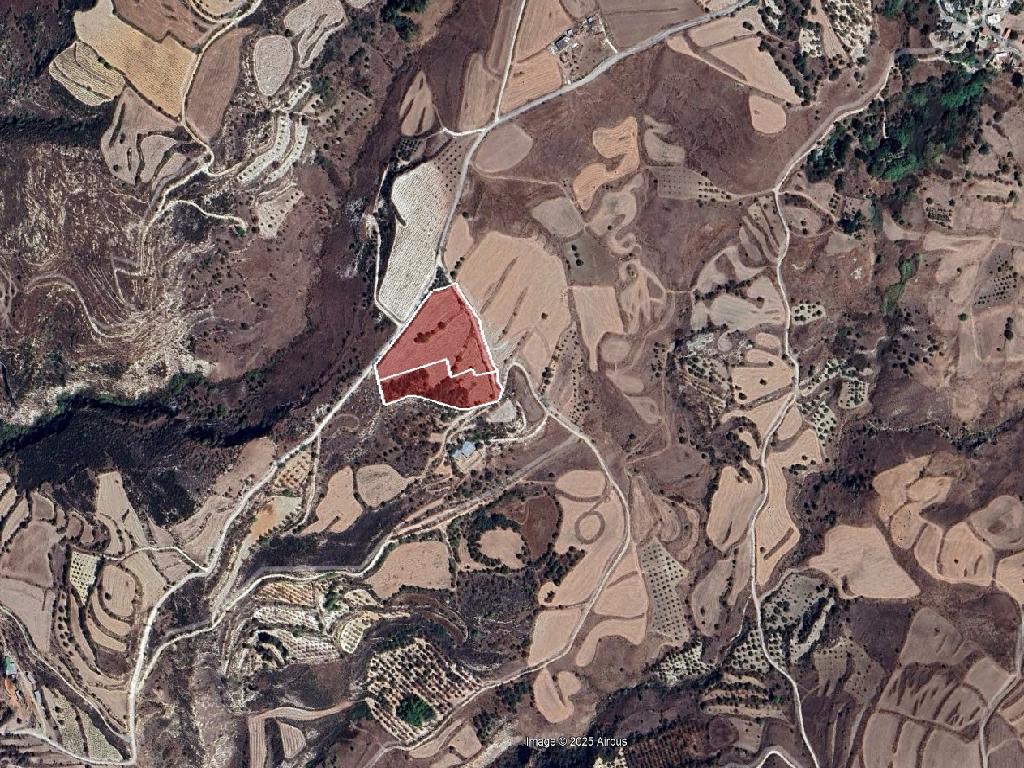 Field-Thrinia-CP10205