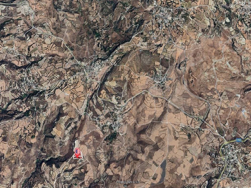 Field-Thrinia-CP10205