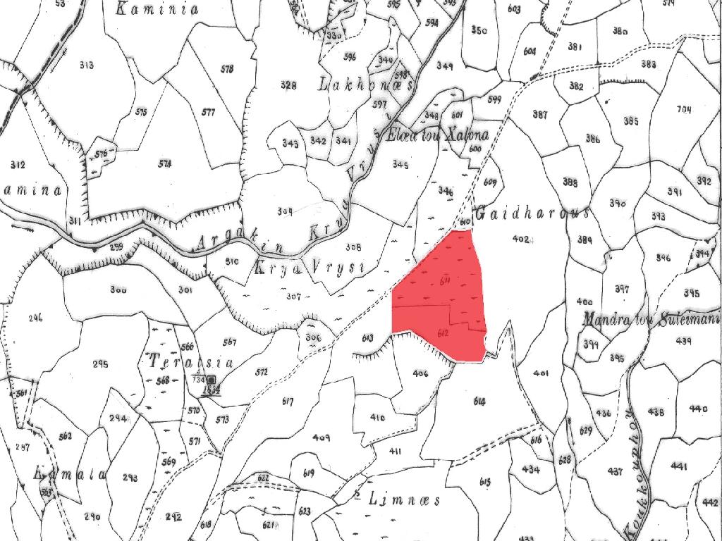 Field-Thrinia-CP10205