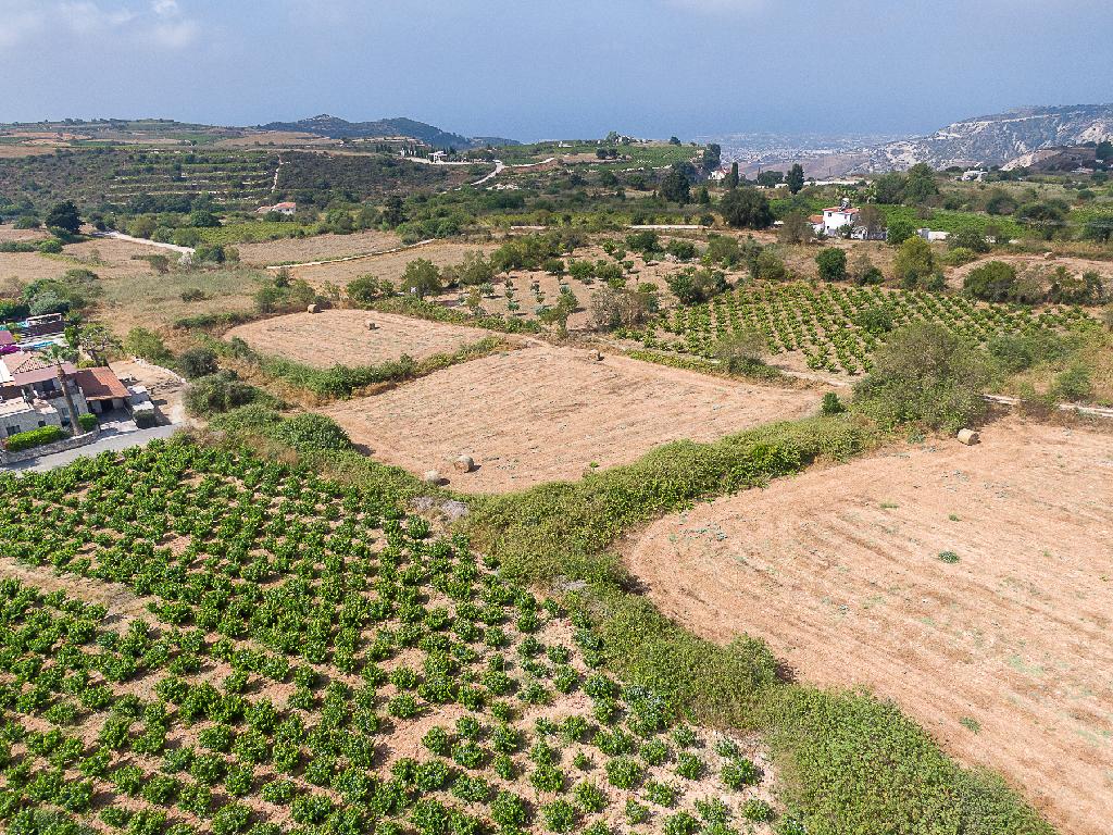 Field - Kathikas, Paphos