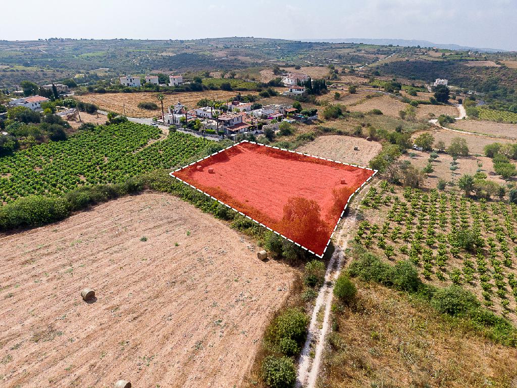 Field - Kathikas, Paphos