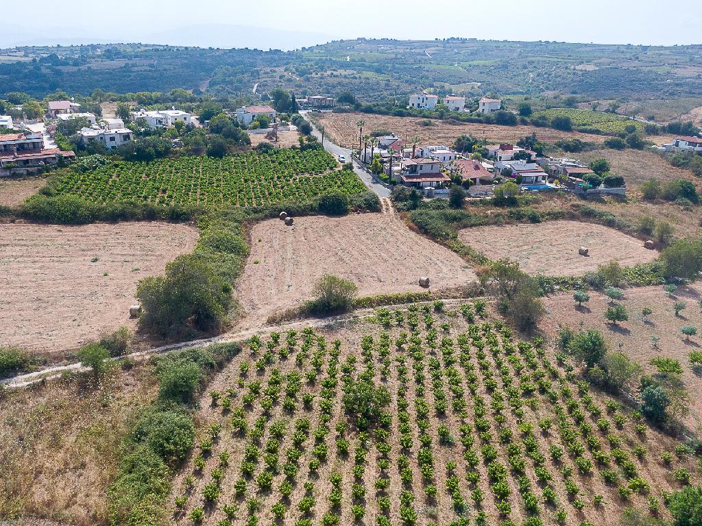 Field - Kathikas, Paphos