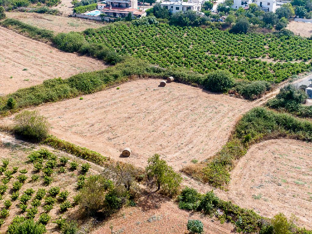 Field-Kathikas-PR46388